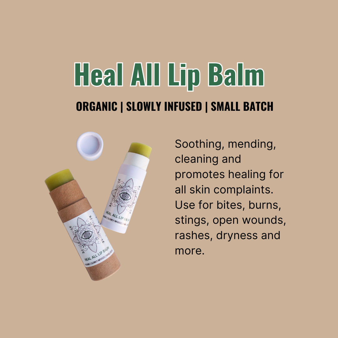 Earth Mother Medicinals TherapeuticHerbalFormulasHealAllLipBalmTherapeuticBodyCare