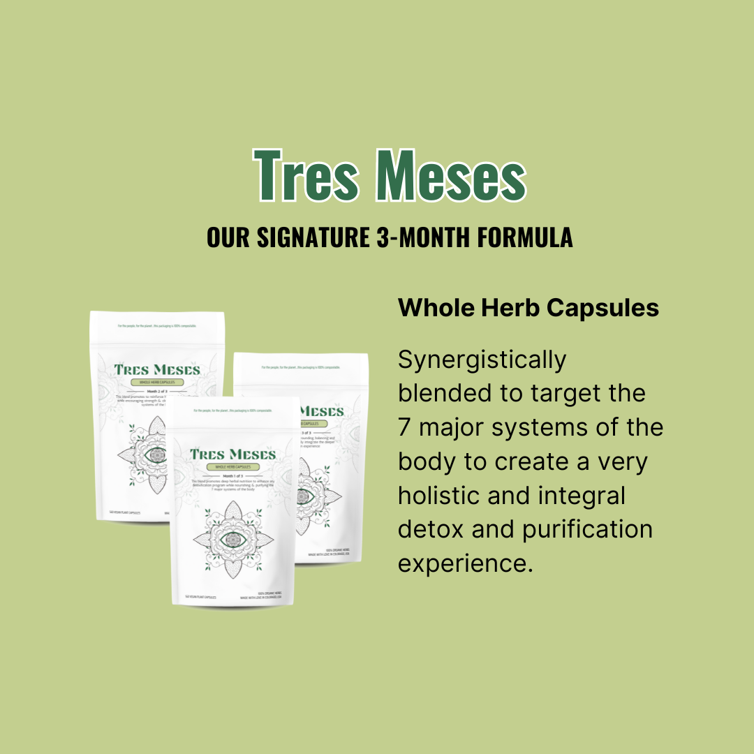 Earth Mother Medicinals Therapeutic Herbal Teas and Therapeutic Herbal Formulas Hayley Porter, Tres Meses Signature Detox Protocol, 3 Month Detox