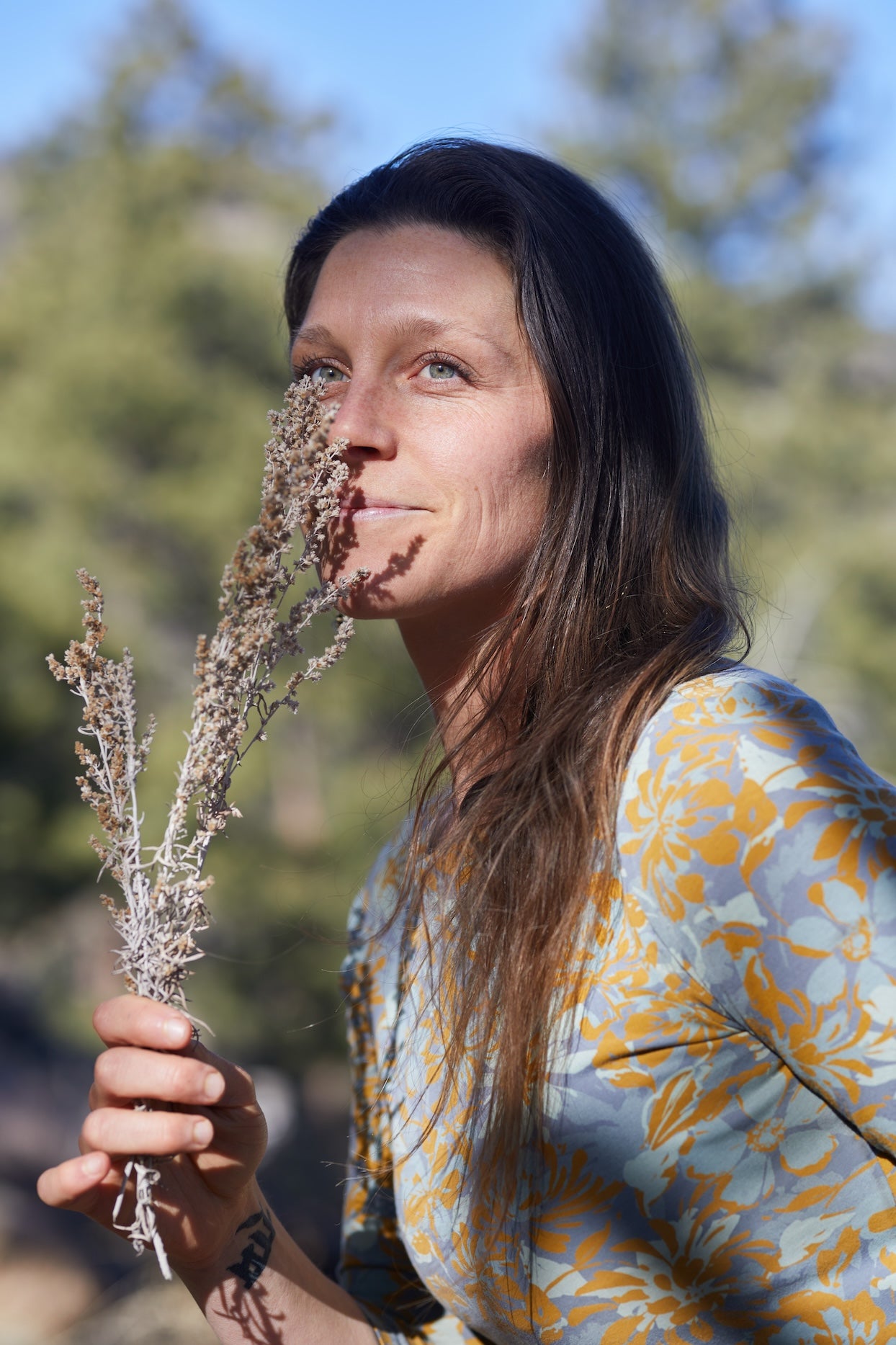Earth Mother Medicinals Therapeutic Herbal Teas and Therapeutic Herbal Formulas, Organic Castor Oil Packs, Organic Healing Salves, Organic Body Products, Organic Pain Salves Hayley Porter