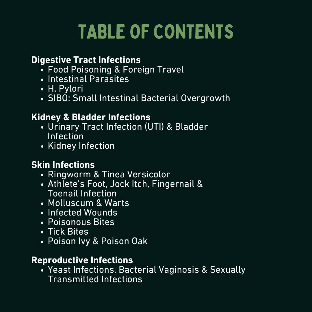 Herbal First Aid for Combating Infections by Detox Tori Tori Vargas and Hayley Porter Earth Mother Medicinals Protocol eBook